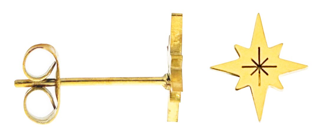 Boucles d'oreilles étoile polaire en acier inoxydable doré
